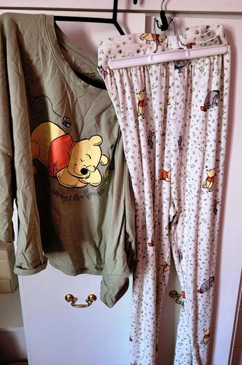 Plus size Winnie the Pooh clothing