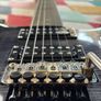 PRS Custom SE Floyd Image 3