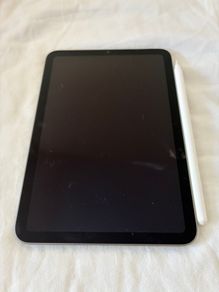 iPad Mini 6th Generation with Apple Pencil