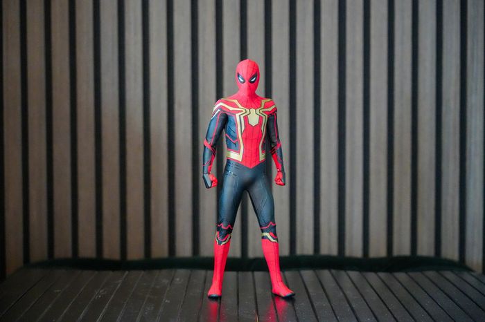 Hot Toys Spider-Man - Integrated Suit - MMS623 - 1/6 Scale