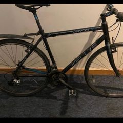 Hybrid Bike