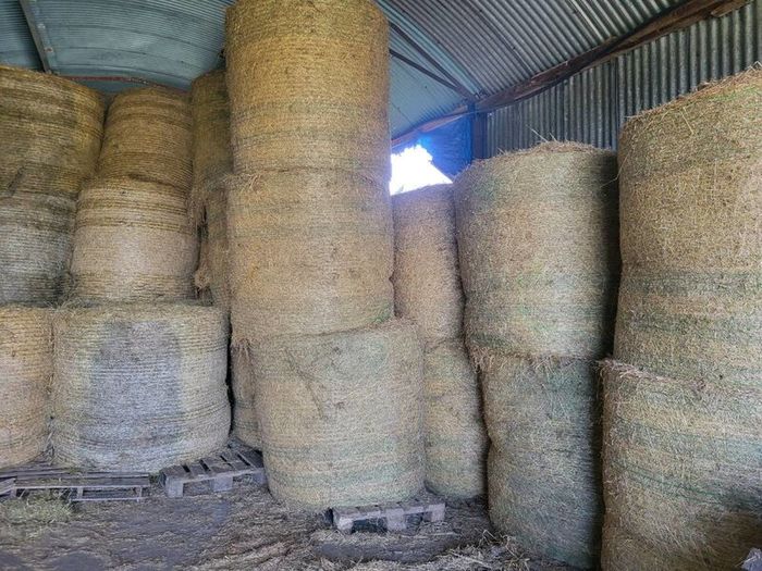Round bales hay