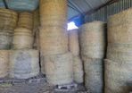Round bales hay