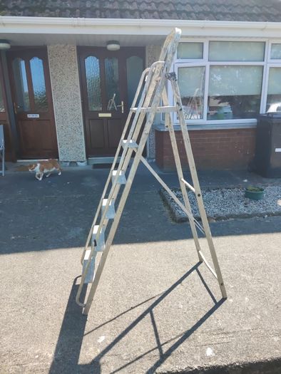 6-Step Heavy Duty Aluminium Folding Ladder with Safety Rail  Tool Tray