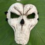 Death Mask Skull Image 6