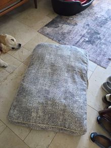 Dog cushion