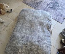 Dog cushion