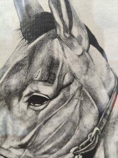 Arkle Framed Drawing/Print