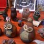 Owl collection Image 2