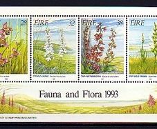1993 Ireland Irish Orchids Commemorative Stamps Miniature Sheet Mint Never Hinged (MNH)