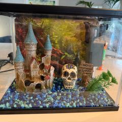 aqua dreams starter aquarium