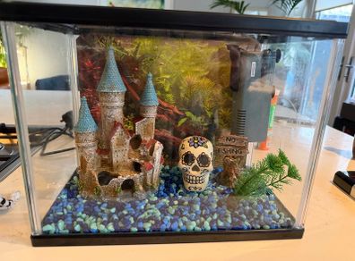 aqua dreams starter aquarium