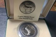 coin 1 pound Irish 1990