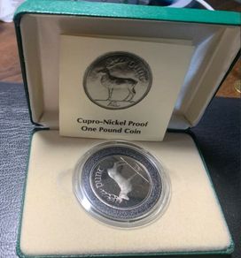 coin 1 pound Irish 1990