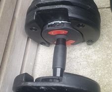 Bowflex 24kg Dumbbells Pair