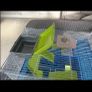 hamster cage Image 5