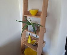 Shelf book case