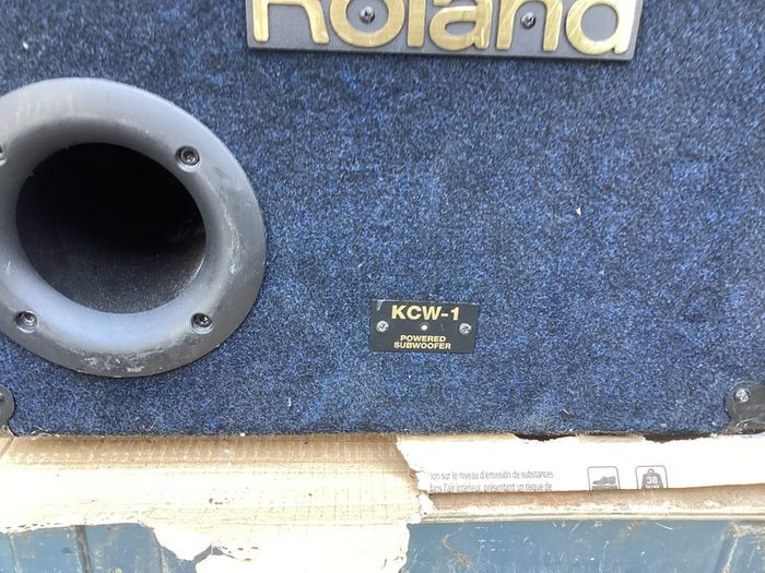 Roland Active Powered Subwoofer 200 Watts Speaker with inbuilt Amp in Excellent Condition.