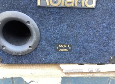 Roland Active Powered Subwoofer 200 Watts Speaker with inbuilt Amp in Excellent Condition.