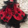 Brand New Ladybird Costume age 2 Image 3