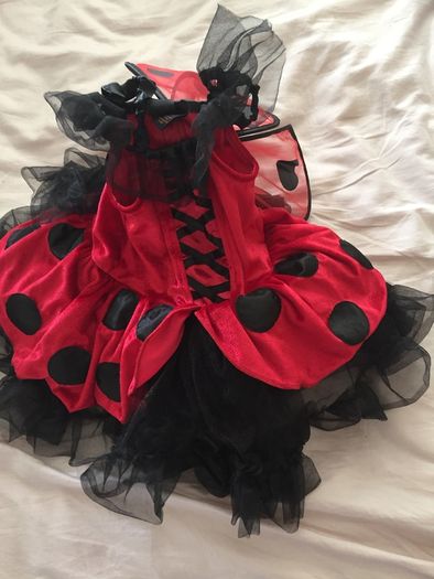 Brand New Ladybird Costume age 2