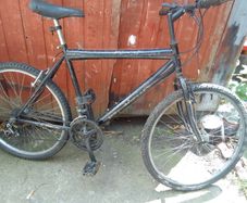 adult bike for sale