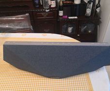 Dynaudio Wireless Speaker