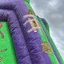 bouncy castle Image 4