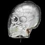 Hand Carved Mother of Pearl Shell - Human Skull Image 2