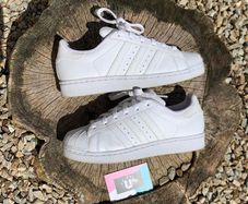 Classic Adidas Superstar White Cream