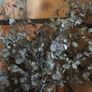 Dried Flowers + Trug & Basket Image 7