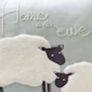 Cushion Image 2