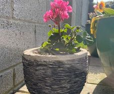 Small Grey Earthenware Flower Pot with Stone Design- 3 available