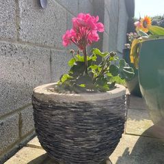 Small Grey Earthenware Flower Pot with Stone Design- 3 available