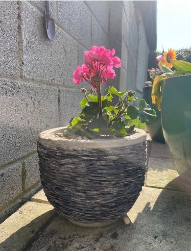 Small Grey Earthenware Flower Pot with Stone Design- 3 available