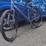 Carrara Electric Bike. Image 3