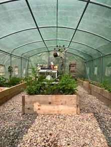 Polytunnel and top quality Raised Beds