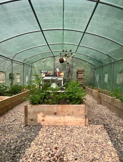 Polytunnel and top quality Raised Beds