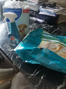 puppy training pads