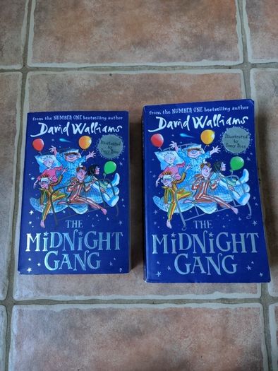 The Midnight Gang.David Walliams.
