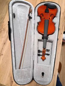 Violin