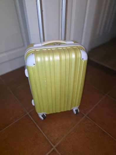 Cabin suitcase