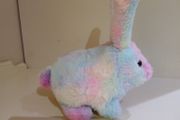 Toy