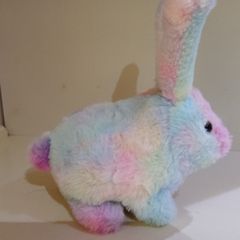 Toy