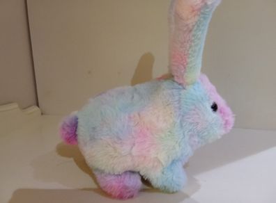 Toy