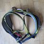Women's climbing harness Image 4