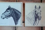 70s pair of framed equine pencil drawings