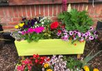 XL Planters