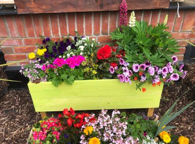 XL Planters