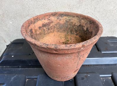 Vintage terracotta flower pot